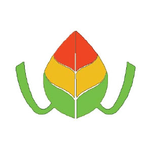 design-05
